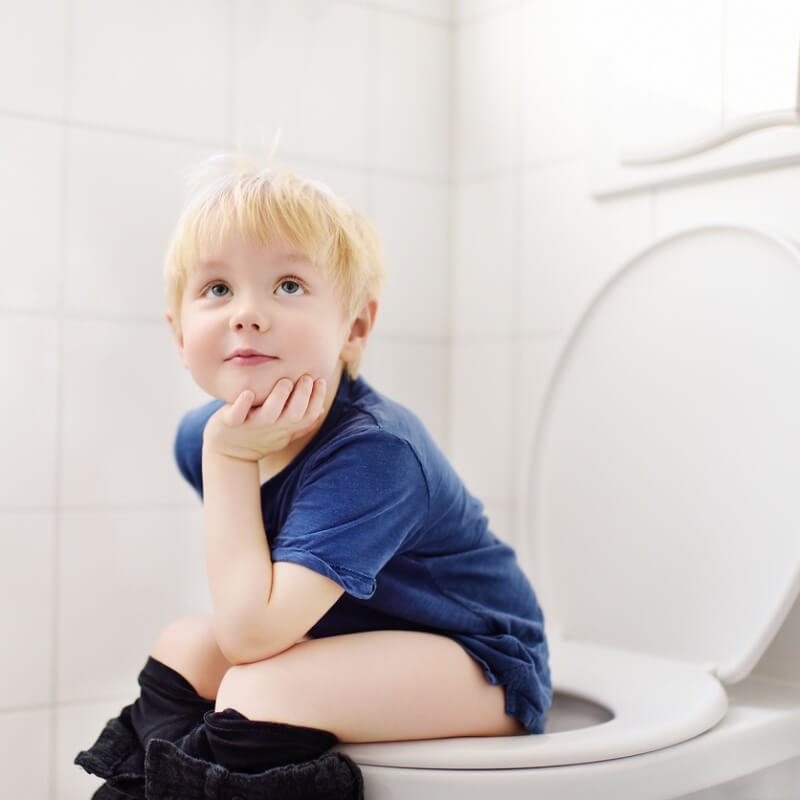 Robynbath toilet pictures